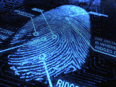 a blue fingerprint on a black background with labels for different parts of the print